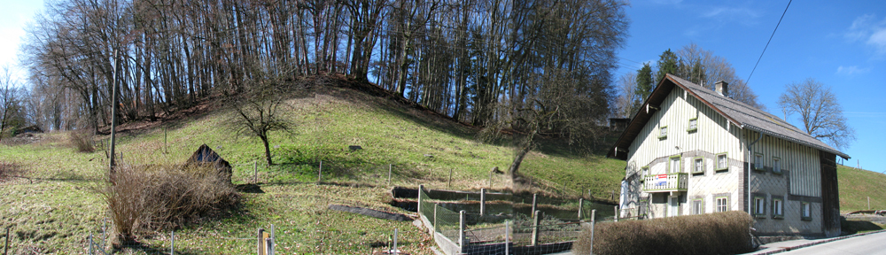Panorama